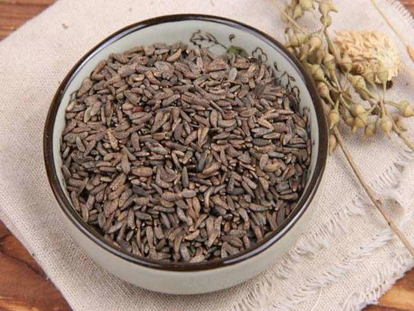 ѧݧܧ fructus arctii