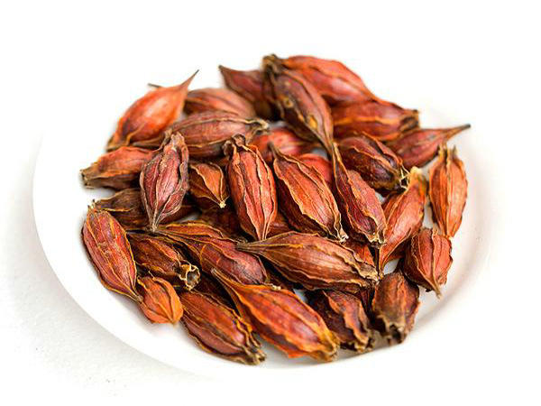 էԧӧݧ֧ߧߧ ݧէ ԧѧէ֧ߧڧ