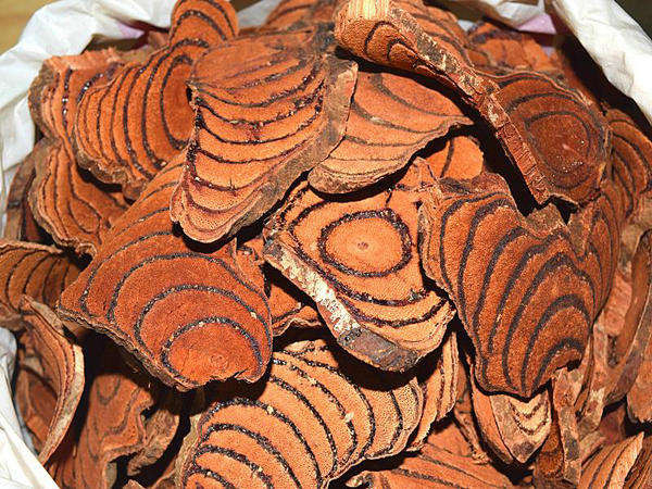 ҧ֧֧ܧߧ ֧ҧ֧ݧ ѧݧҧ