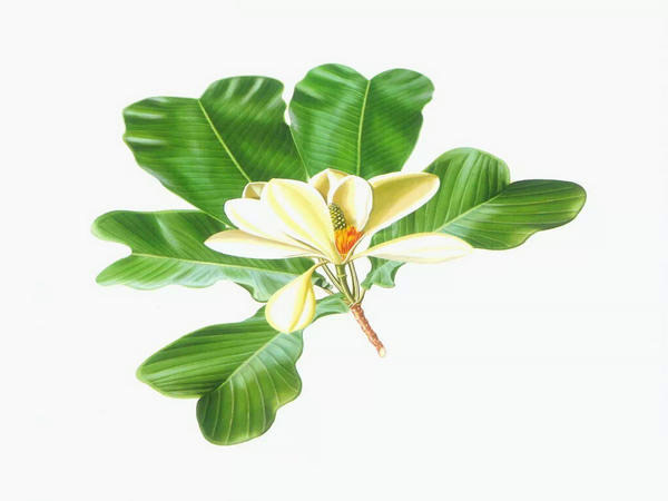 ѧԧߧݧڧ ݧ֧ܧѧӧ֧ߧߧѧ