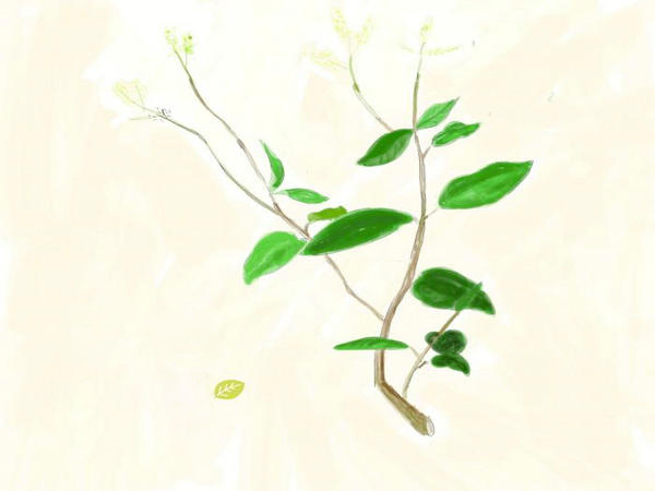 ҧݧ֧ڧ ݧէ ҧڧڧߧ